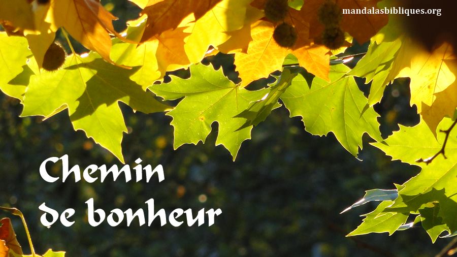 Sur Le Chemin Du Bonheur Scan Vf